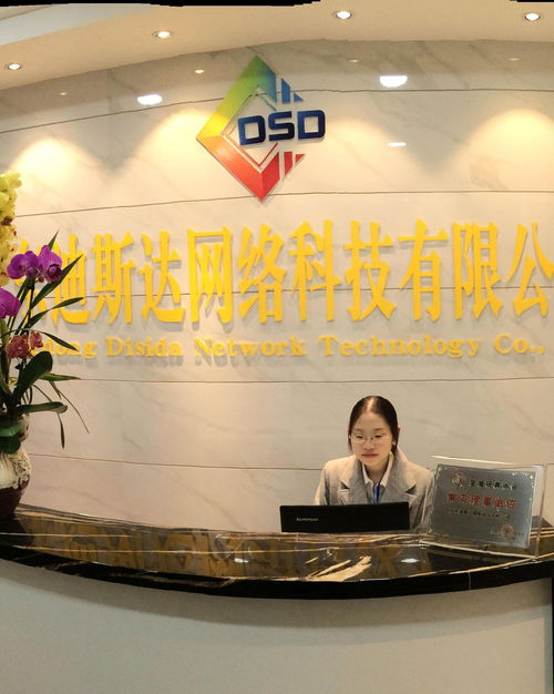 廣東迪斯達(dá)網(wǎng)絡(luò)科技 引領(lǐng)信息技術(shù)咨詢服務(wù)新潮流